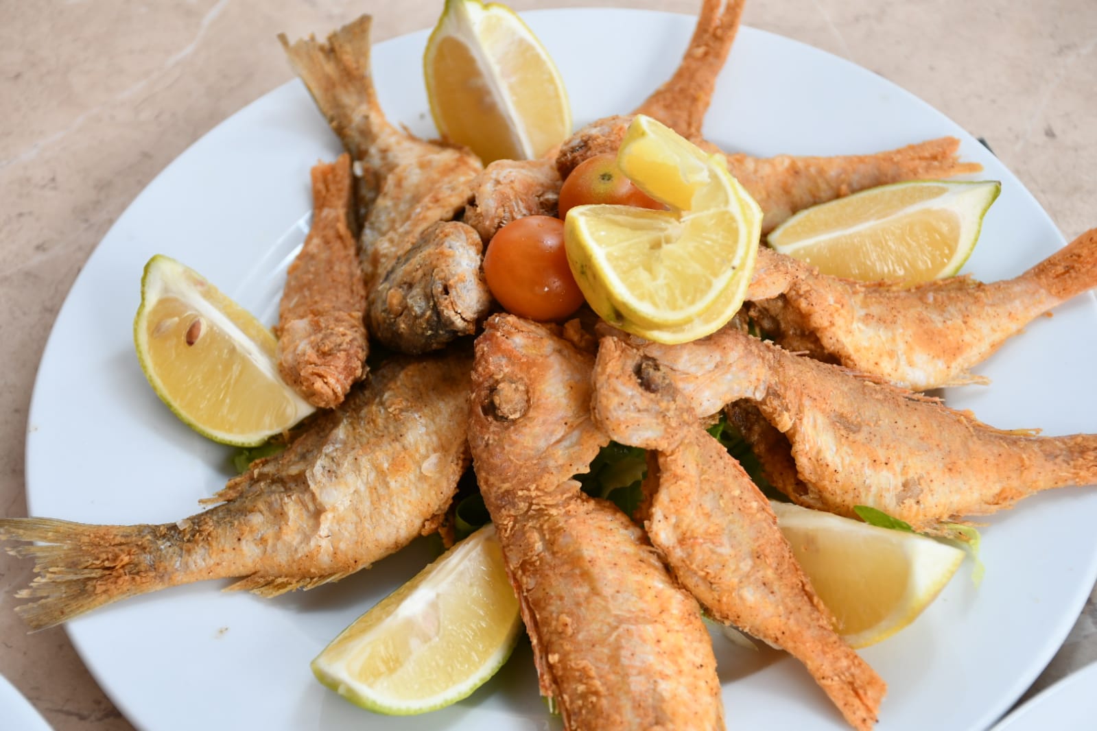 WhatsApp Image 2020-02-13 at 7.48.02 PM.jpeg.jpeg